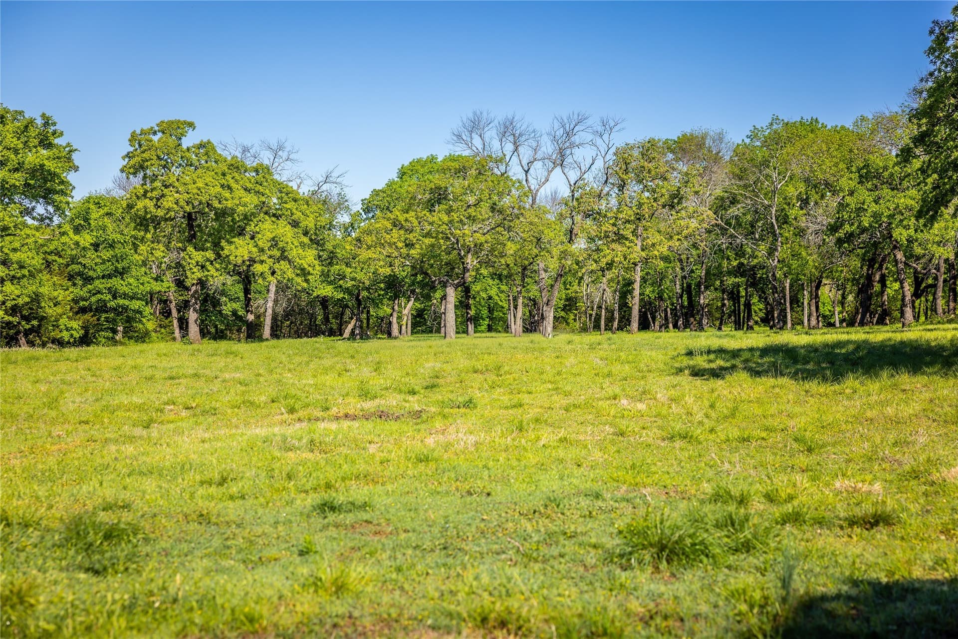 109.24 acres in Grayson County - photo 28