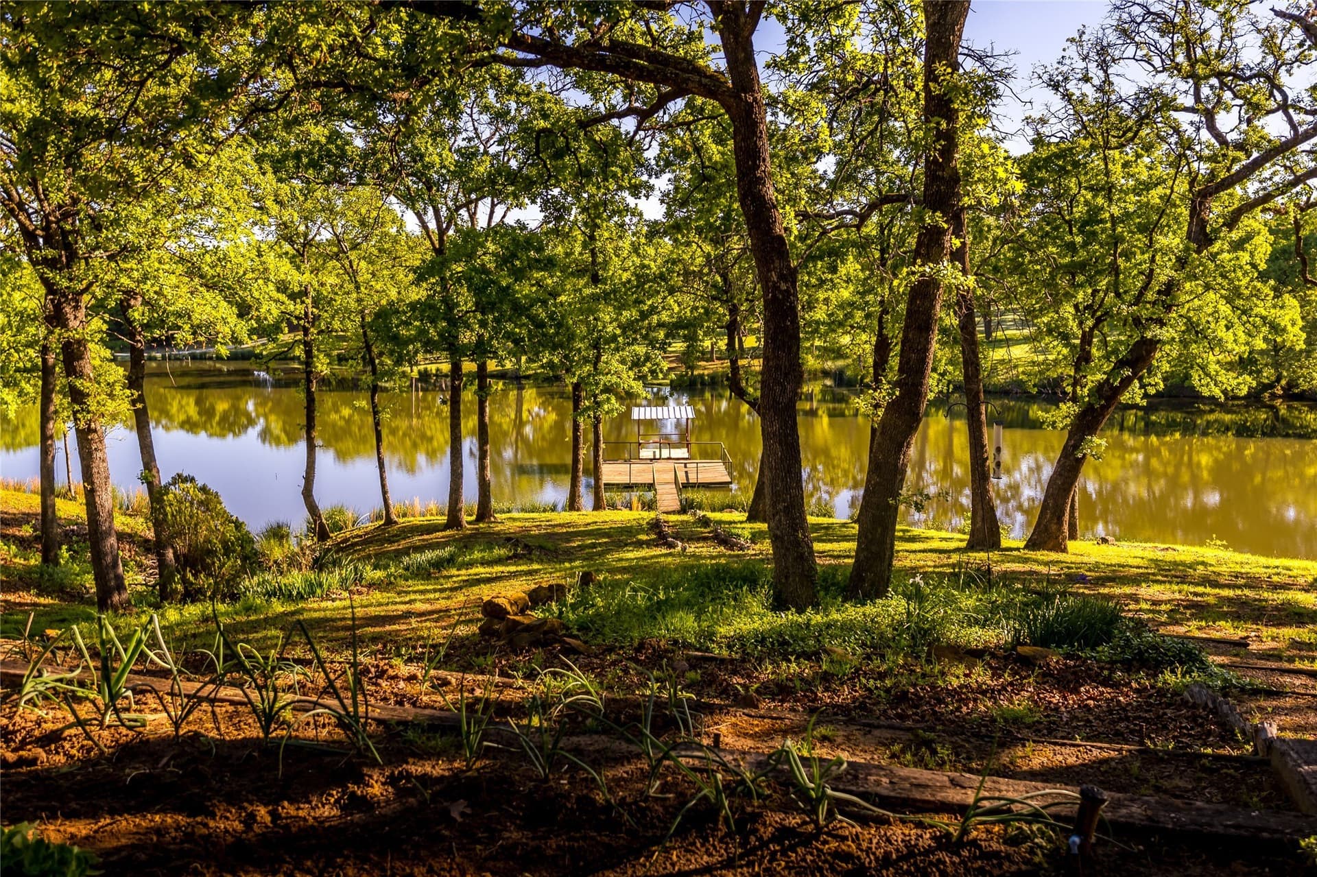 109.24 acres in Grayson County - photo 27