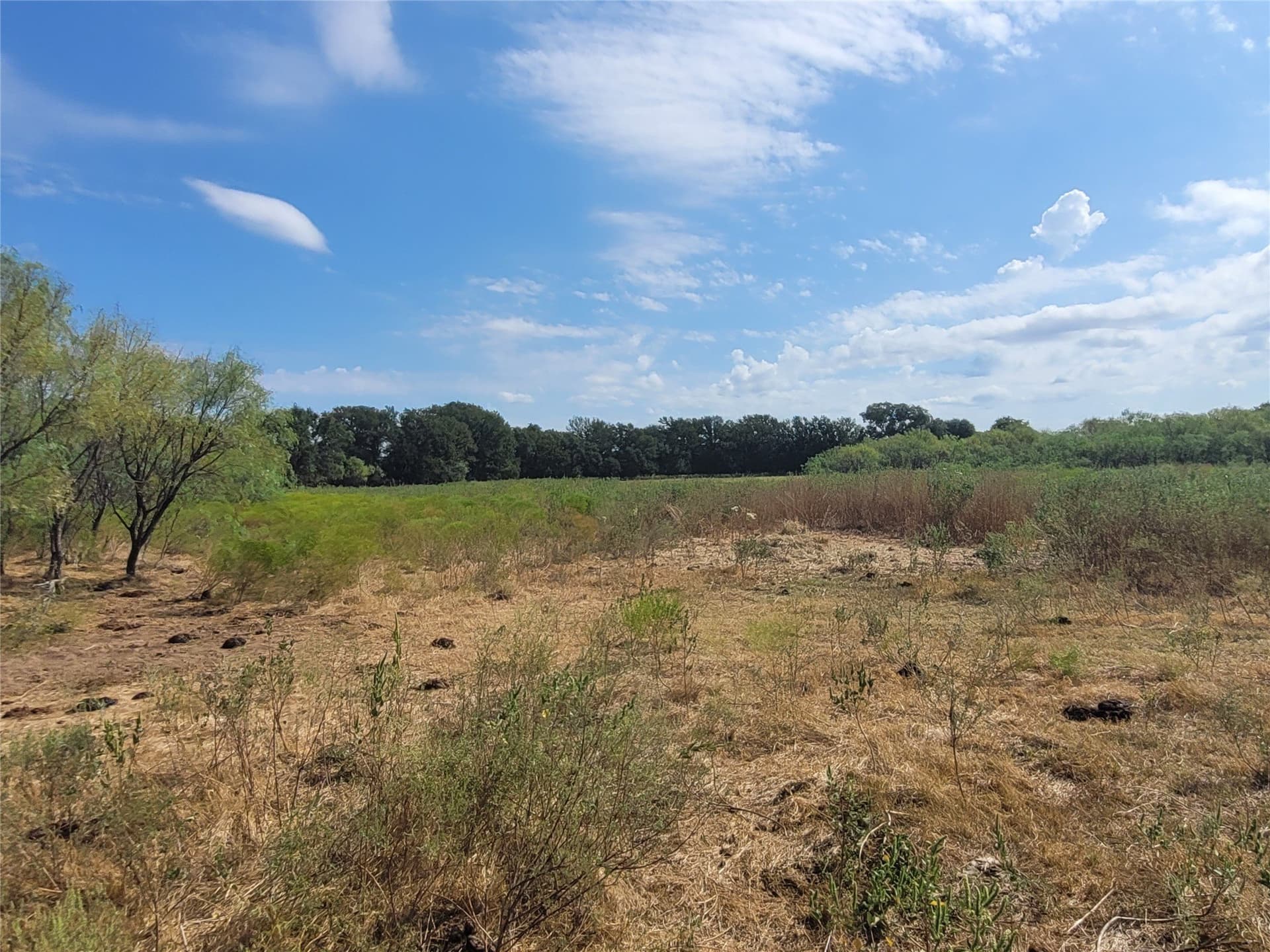 79.62 acres in Brown County - photo 13