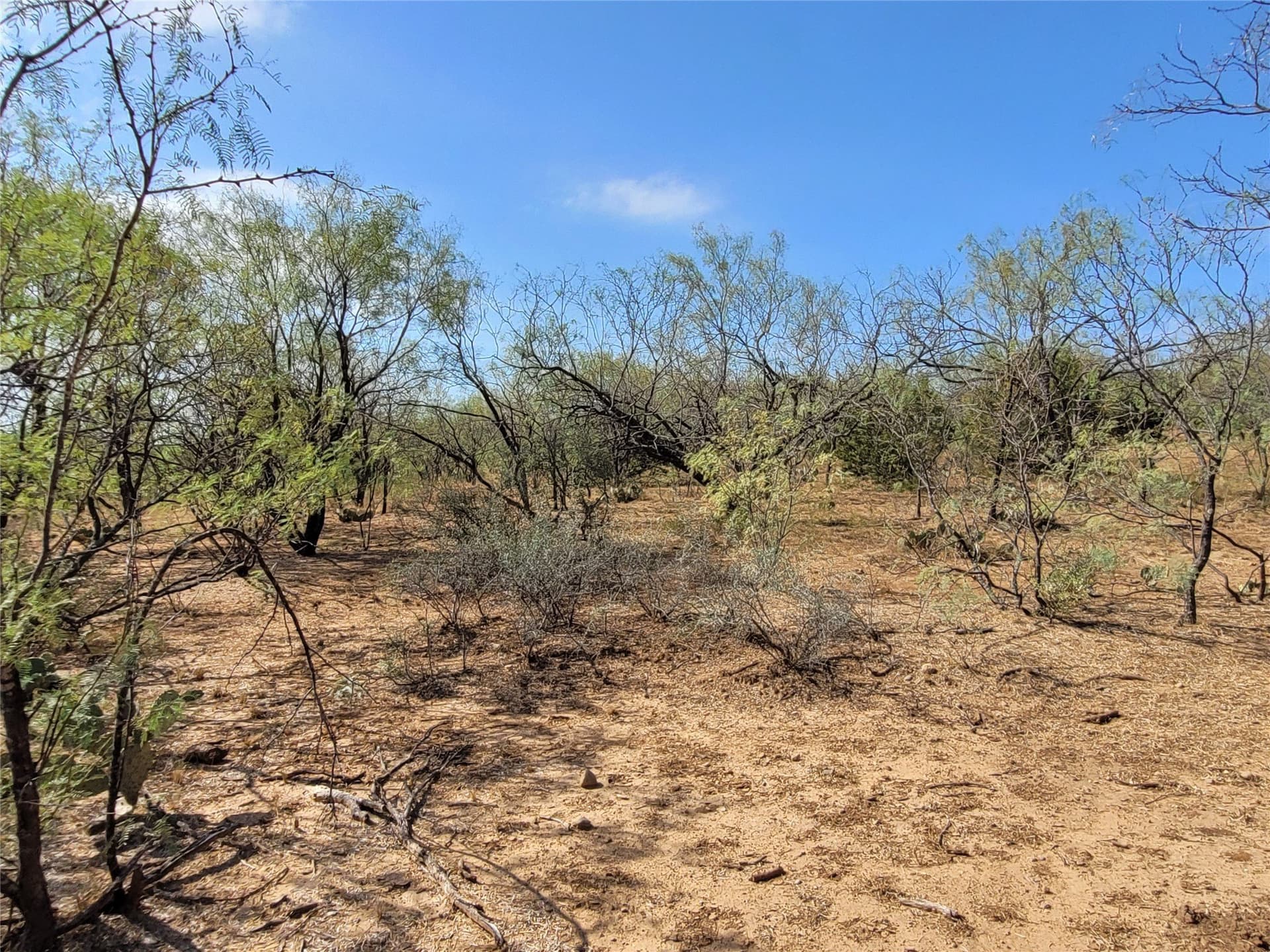 79.62 acres in Brown County - photo 12