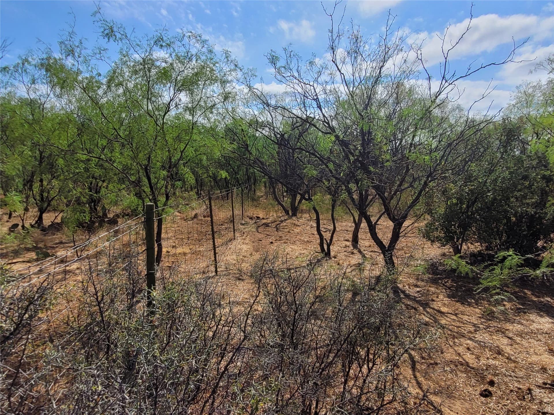 79.62 acres in Brown County - photo 11