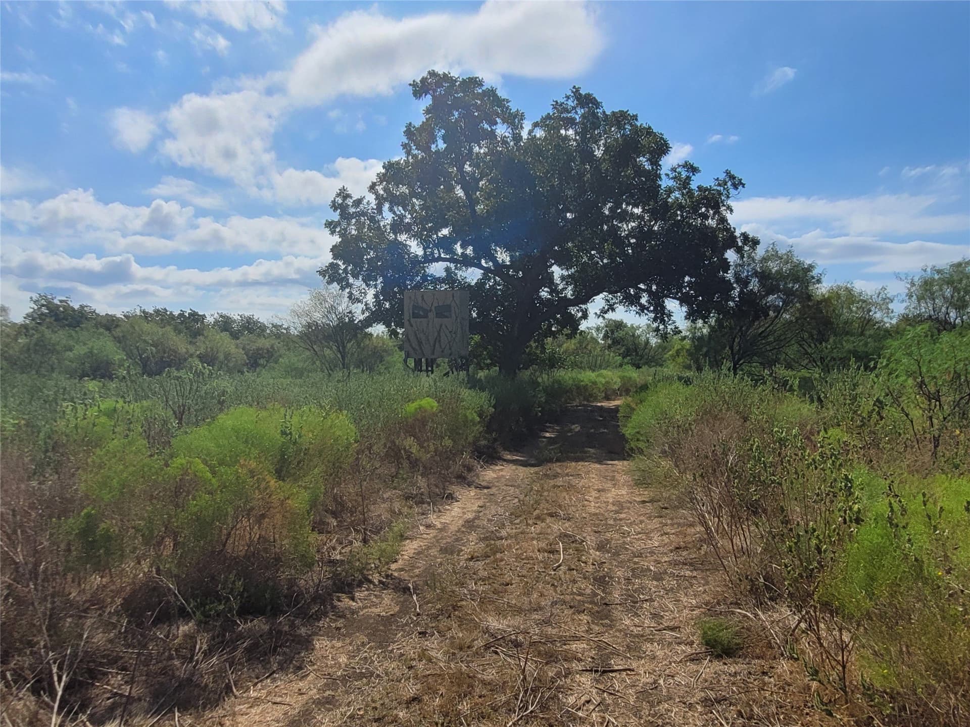 79.62 acres in Brown County - photo 7
