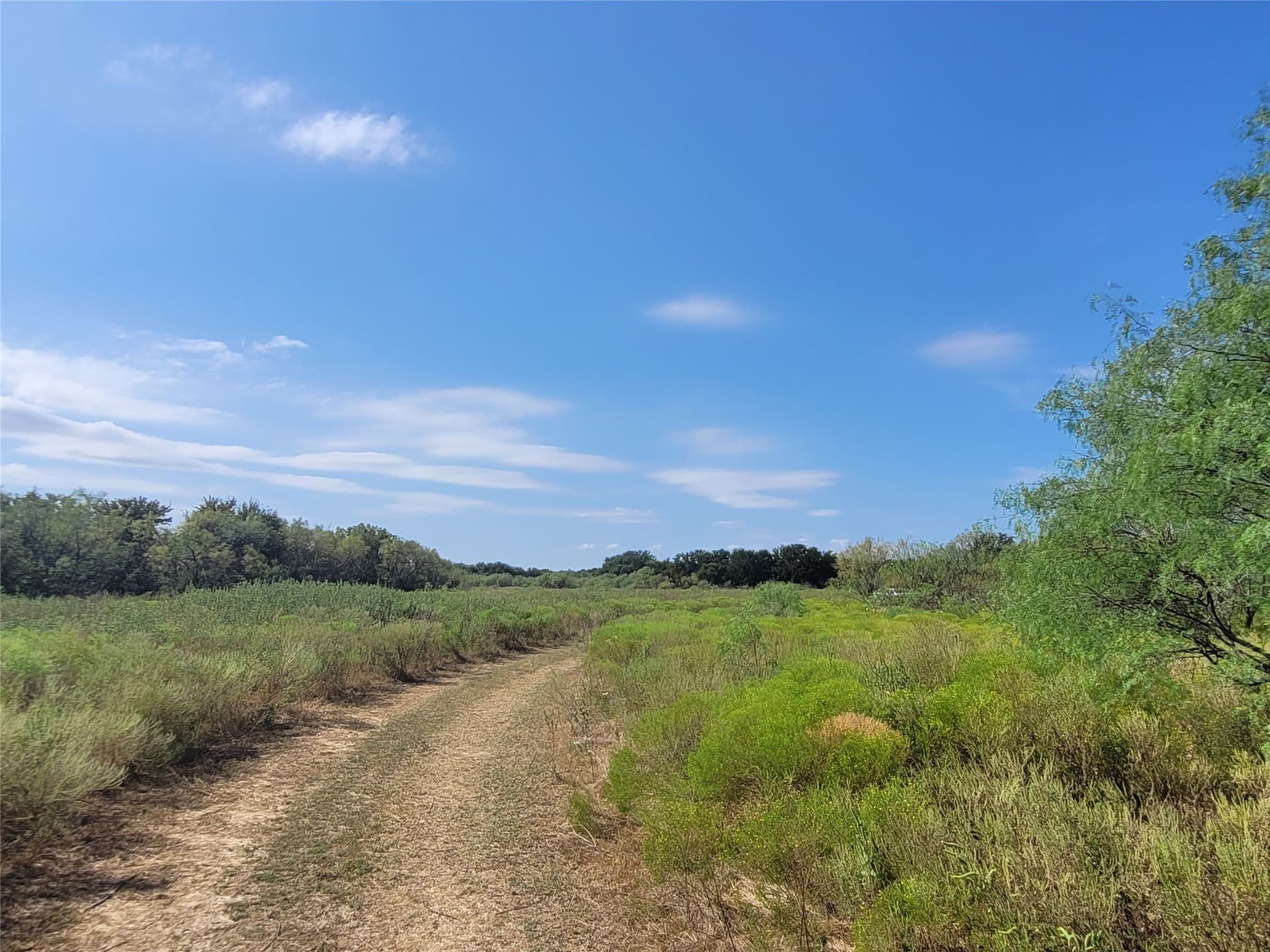 79.62 acres in Brown County - photo 6