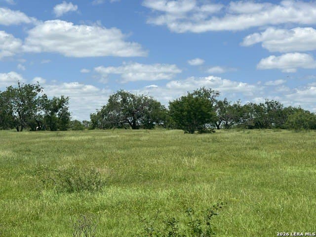 18.07 acres in Wilson County - photo 12
