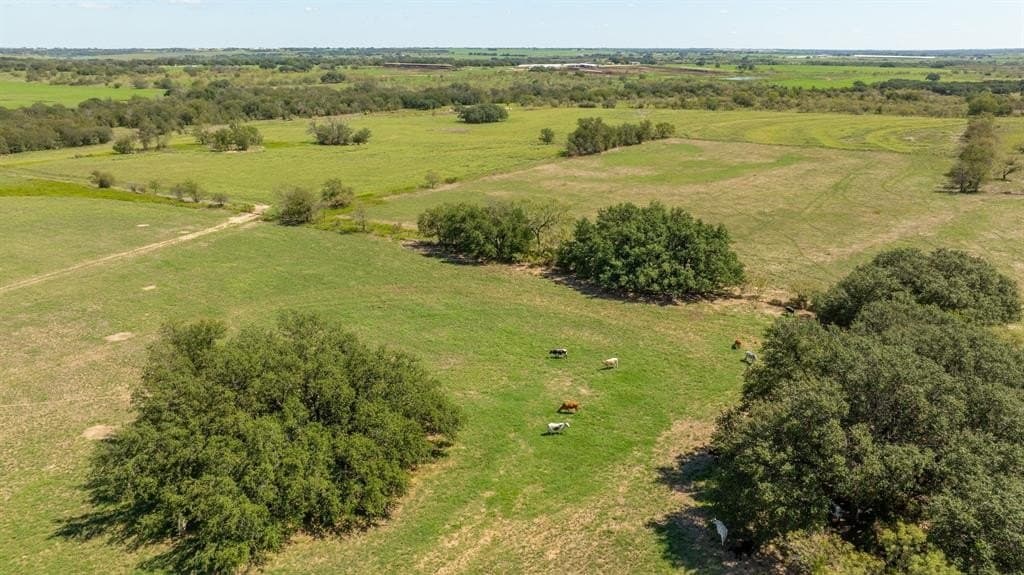 115.62 acres in Erath County