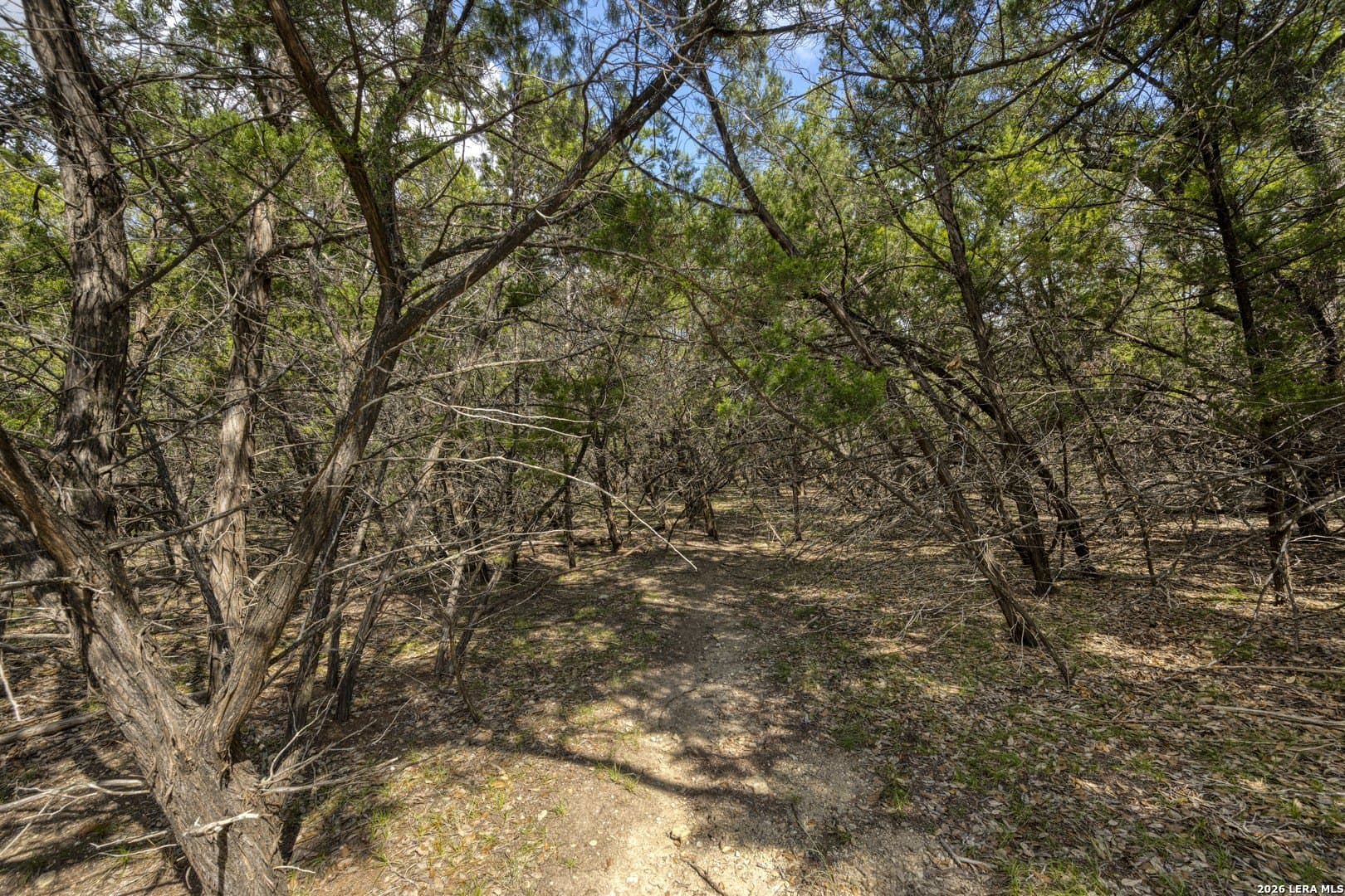 2.01 acres in Kendall County - photo 36