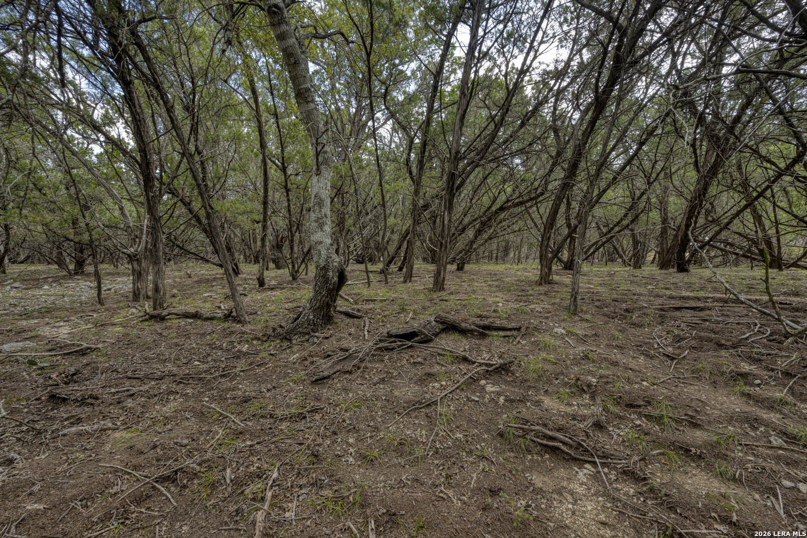 2.01 acres in Kendall County - photo 44
