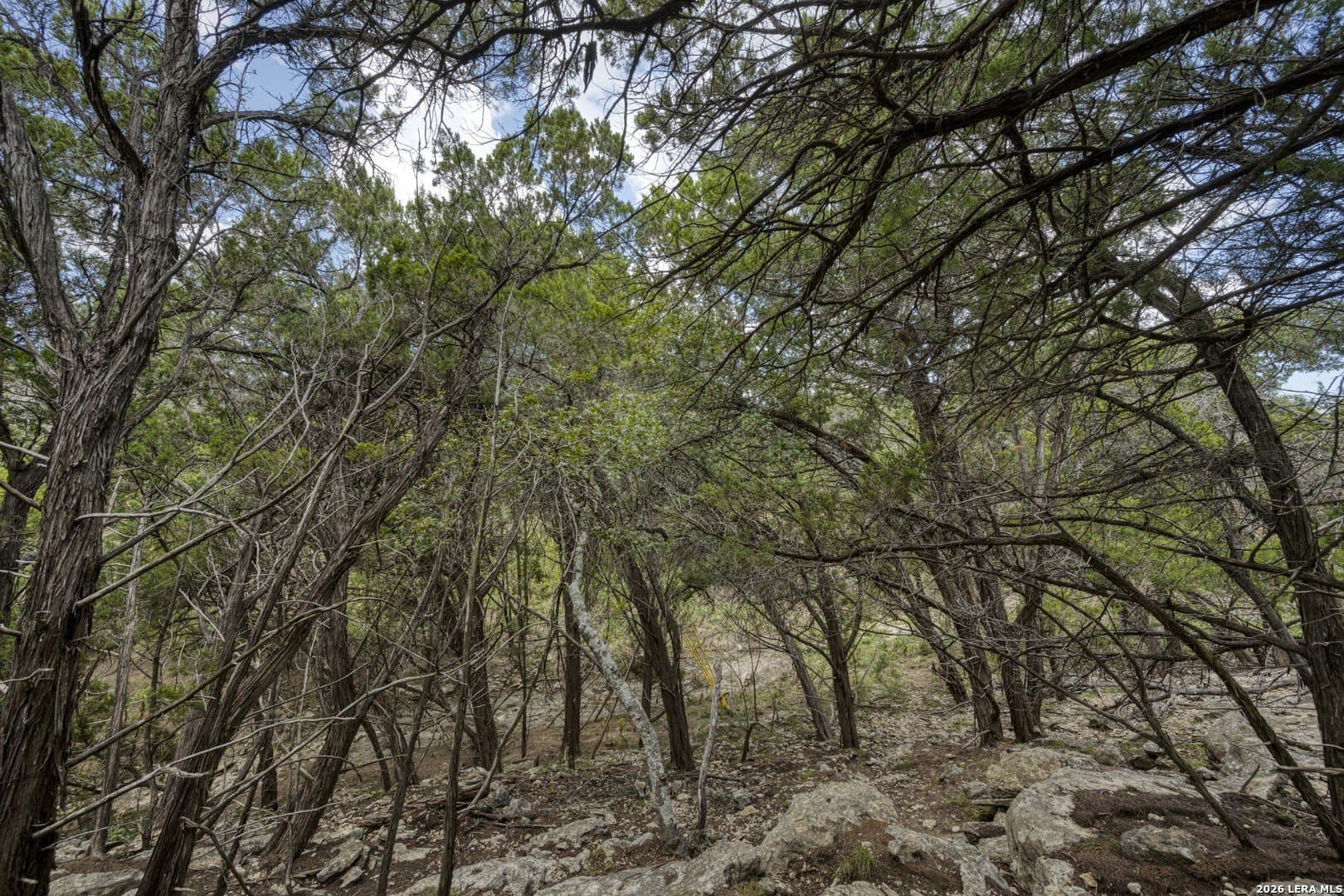 2.01 acres in Kendall County - photo 46