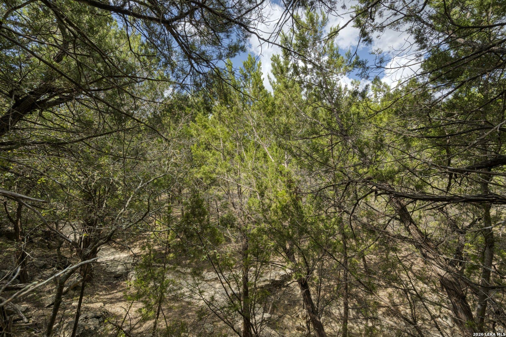 2.01 acres in Kendall County - photo 45