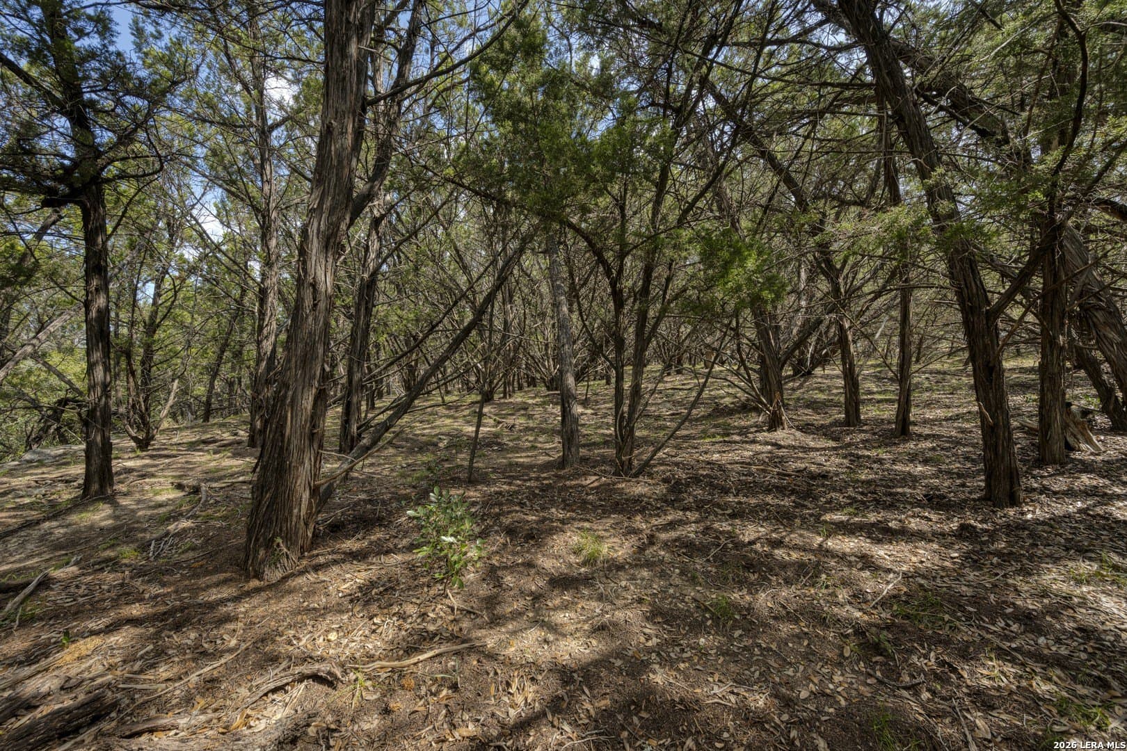 2.01 acres in Kendall County - photo 43