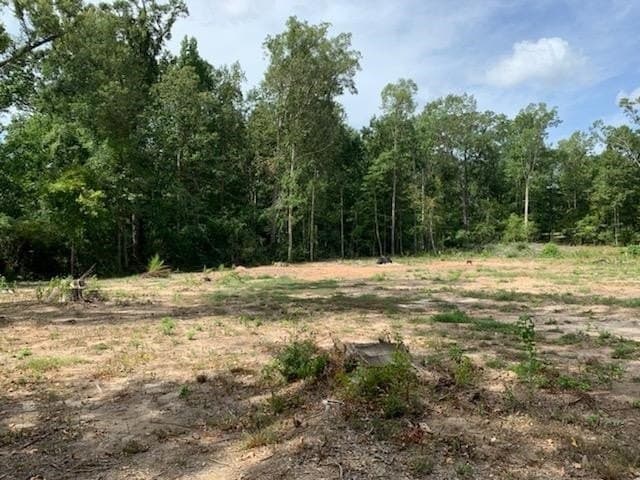 1.04 acres in Texas County - photo 11