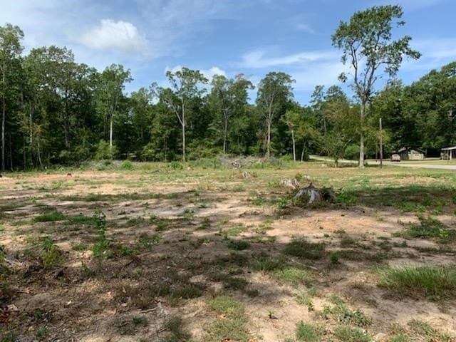 1.04 acres in Texas County - photo 14