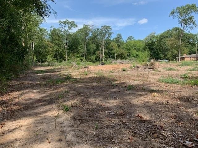 1.04 acres in Texas County - photo 20