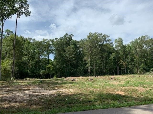 1.04 acres in Texas County - photo 16