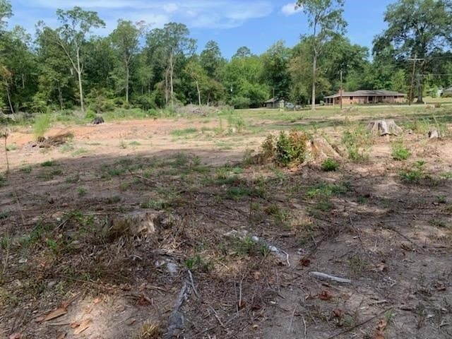 1.04 acres in Texas County - photo 13