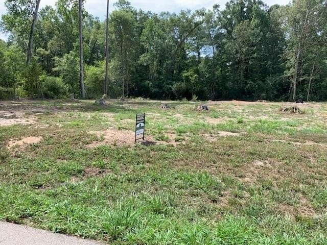 1.04 acres in Texas County - photo 10
