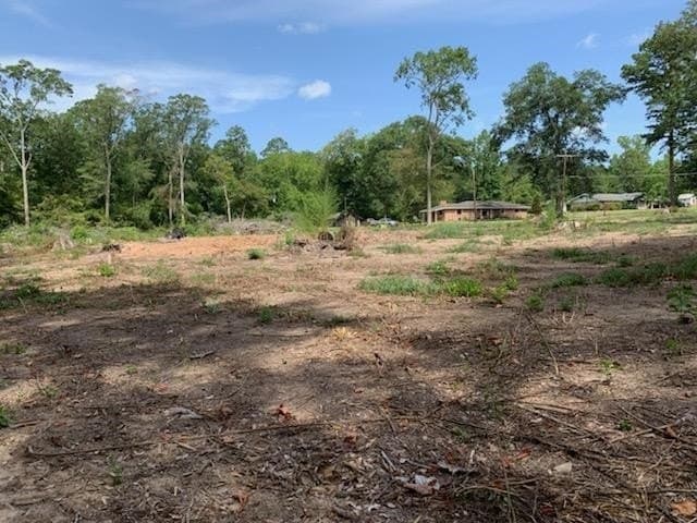 1.04 acres in Texas County - photo 21
