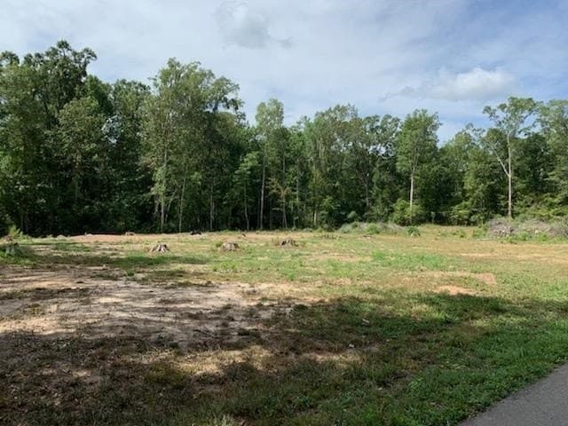 1.04 acres in Texas County - photo 15