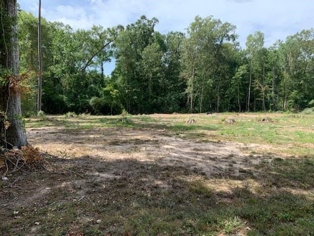 1.04 acres in Texas County - photo 17