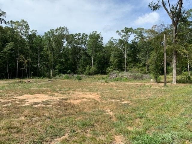 1.04 acres in Texas County - photo 8