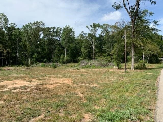 1.04 acres in Texas County - photo 9