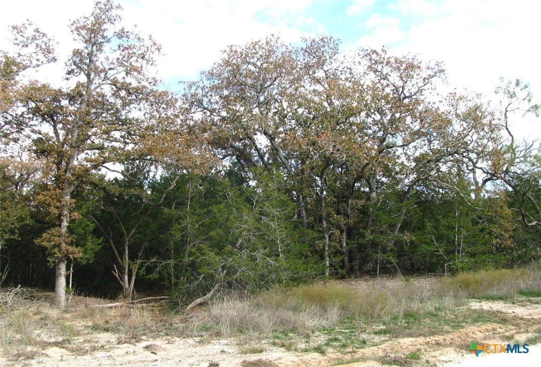 10.01 acres in Hamilton County - photo 20