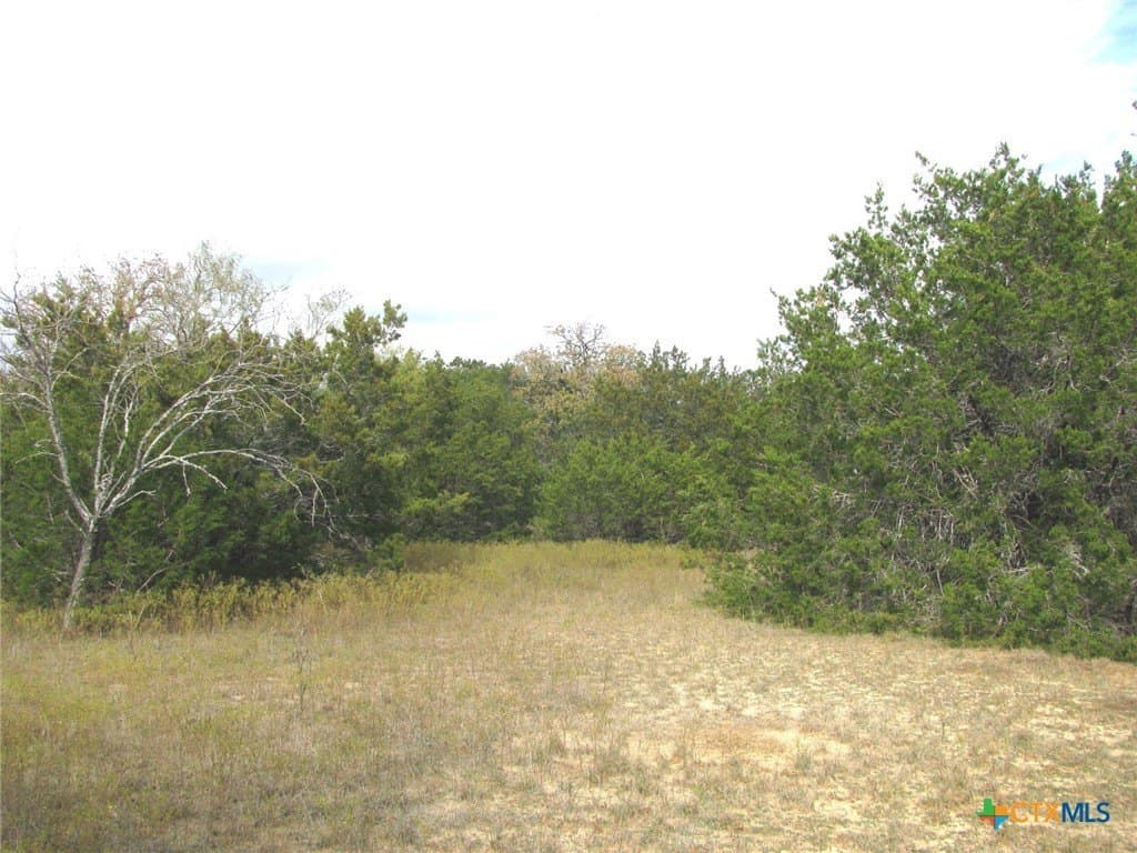 10.01 acres in Hamilton County - photo 18