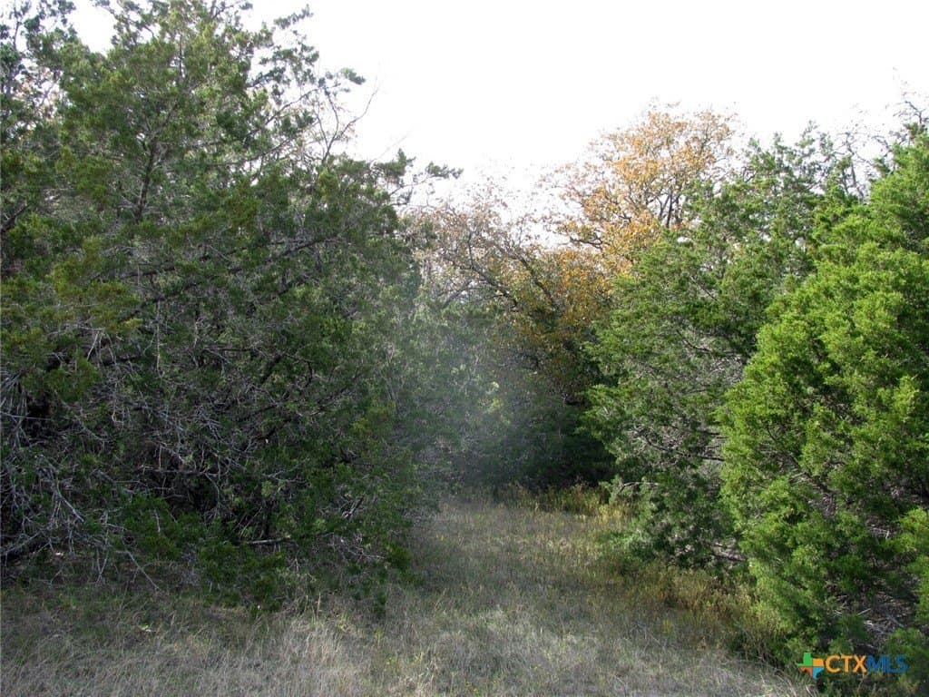 10.01 acres in Hamilton County - photo 17