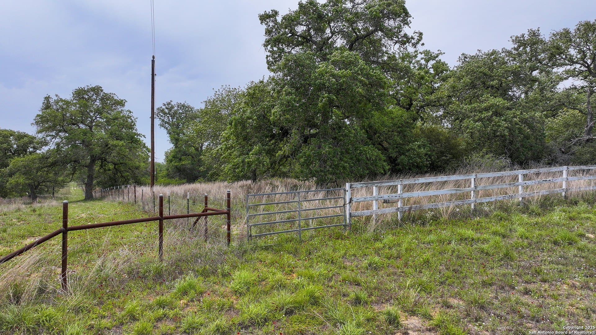 34.4 acres in Guadalupe County - photo 7