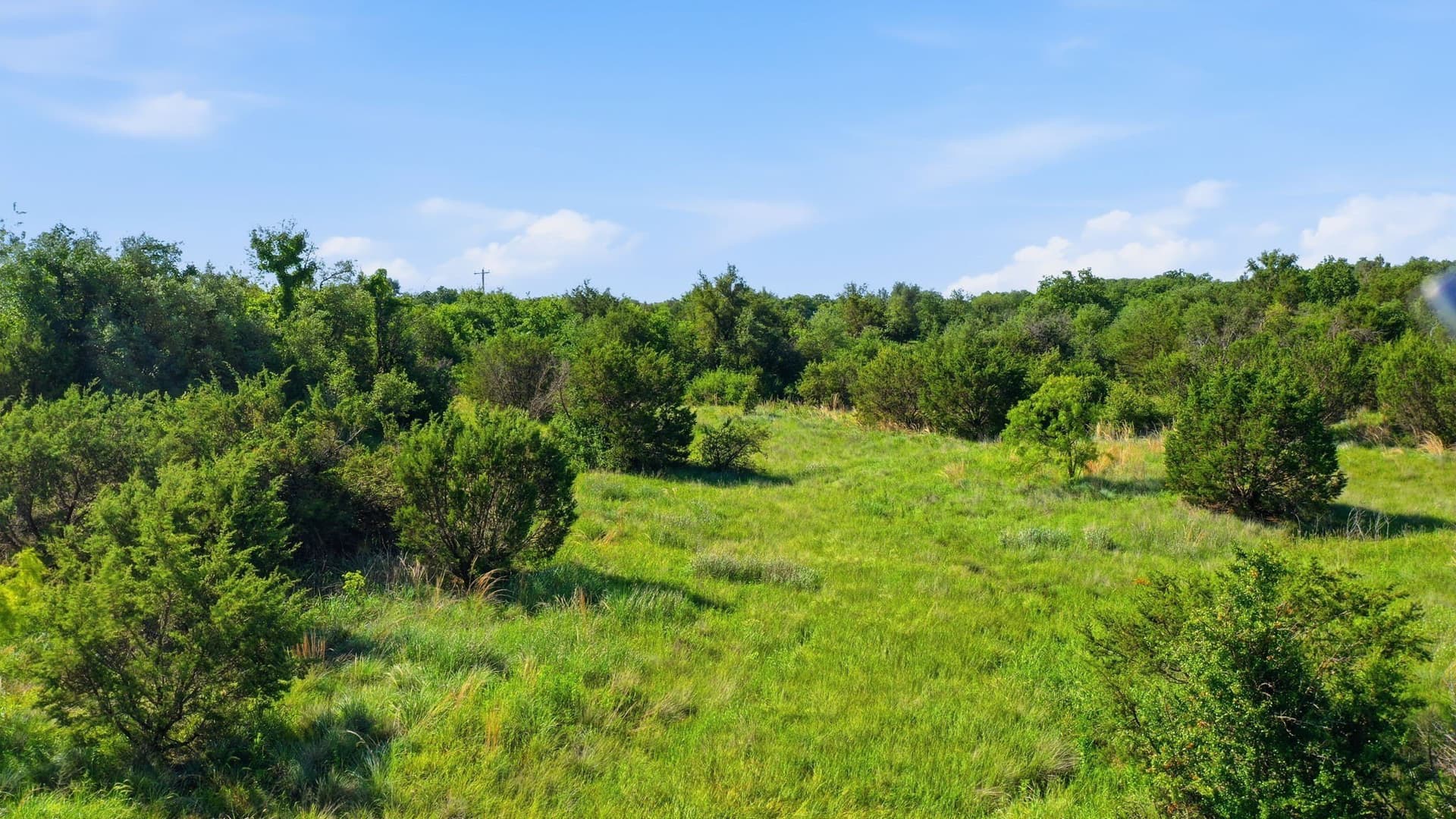 10 acres in Hood County - photo 9