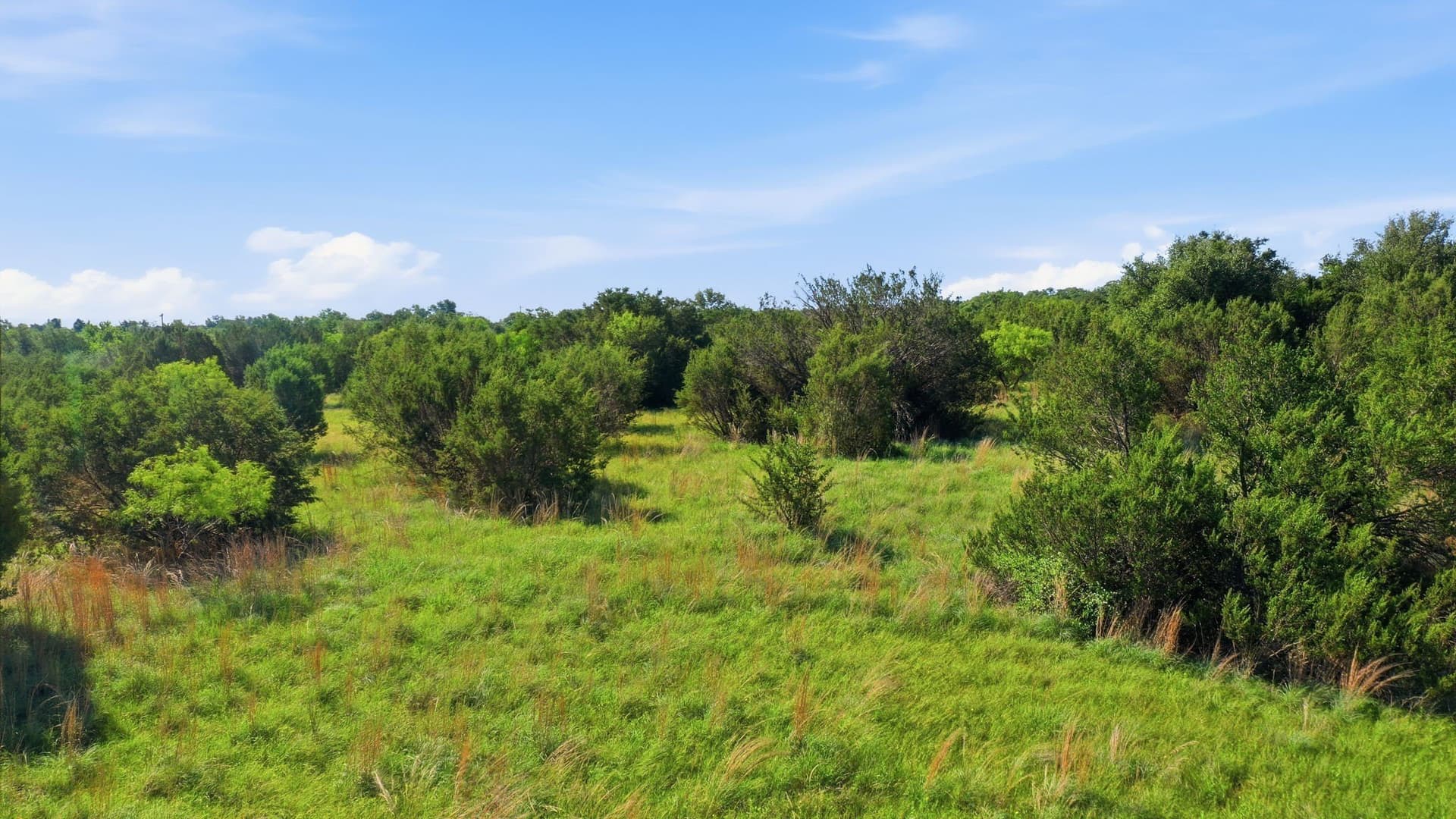 10 acres in Hood County - photo 13