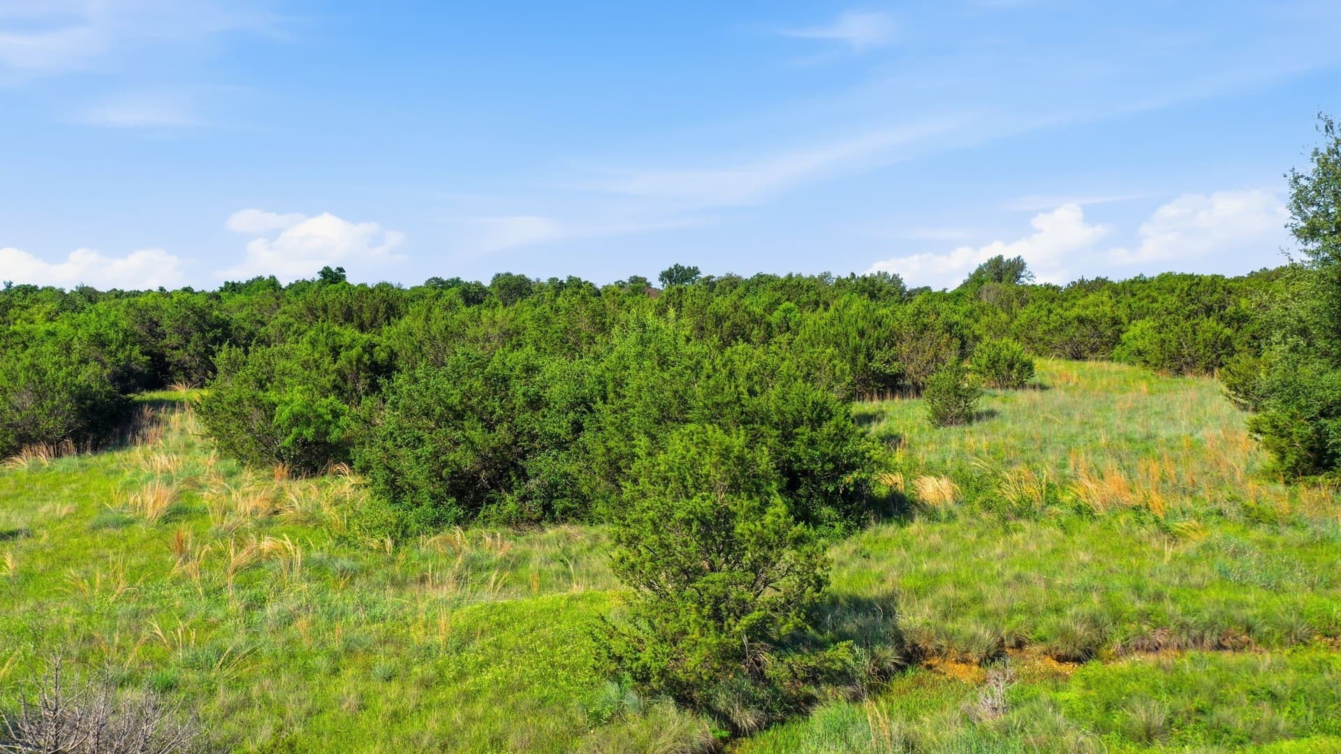 10 acres in Hood County - photo 2