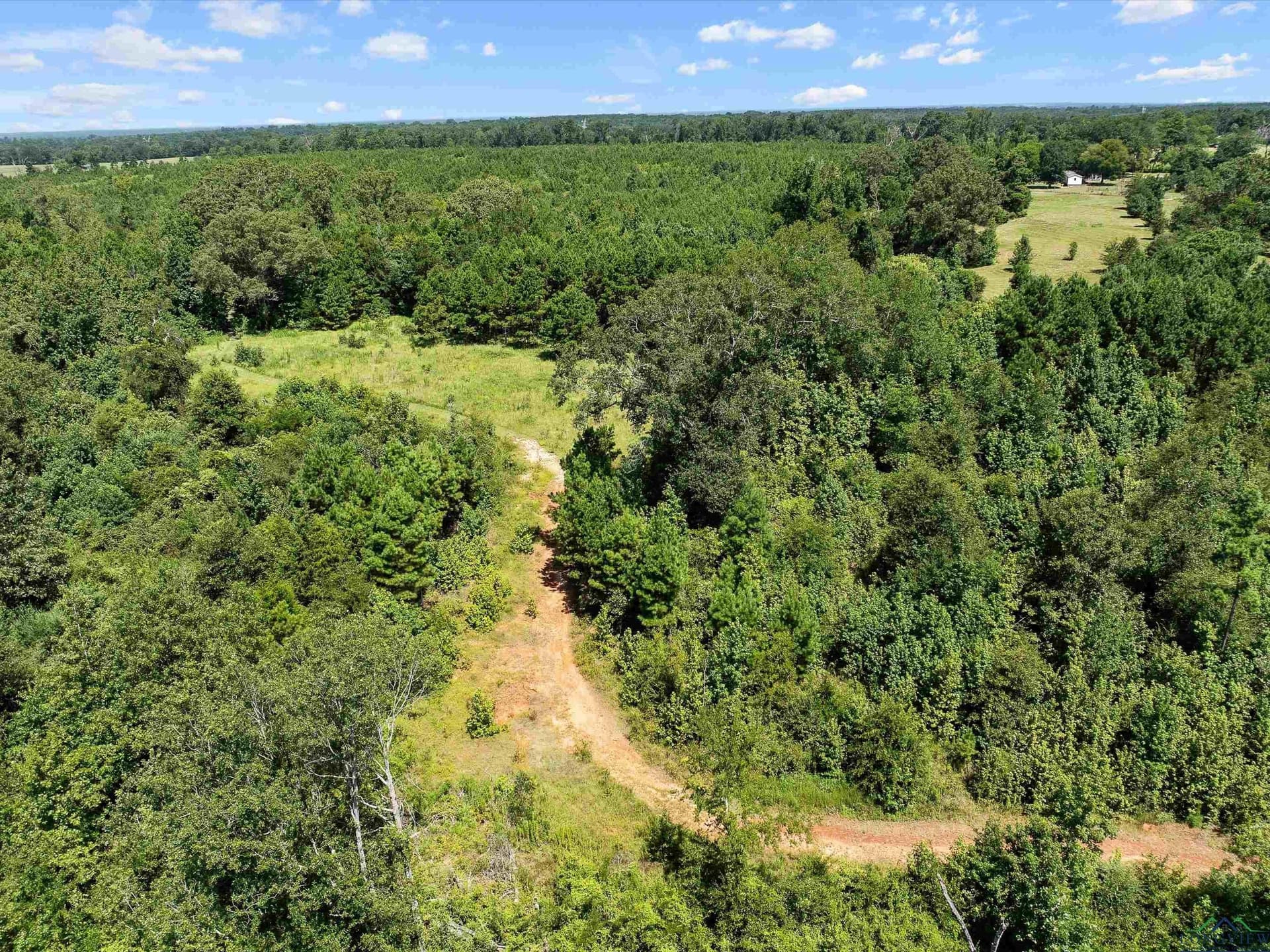 30.03 acres in Rusk County featured view