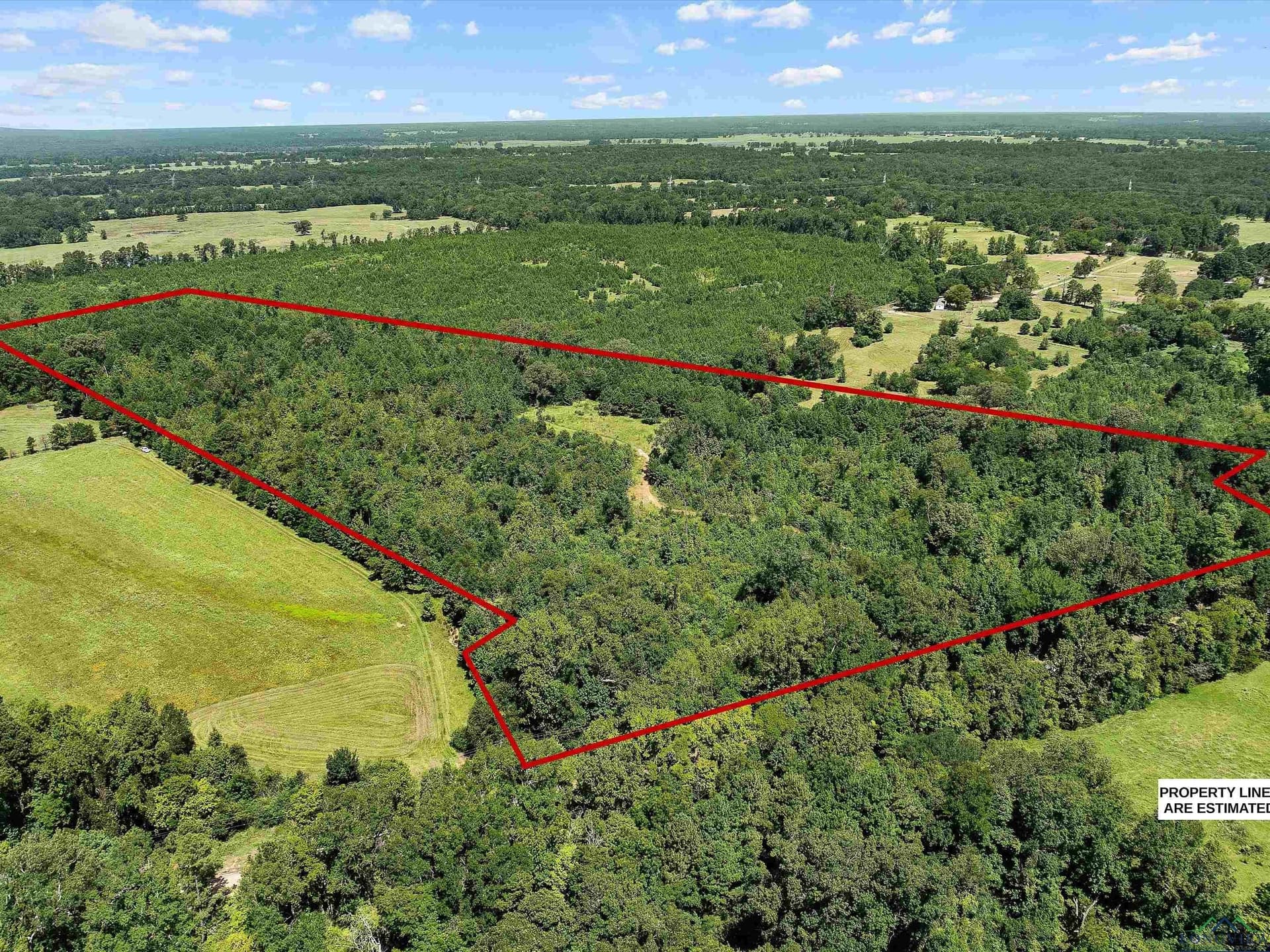 30.03 acres in Rusk County gallery image 3