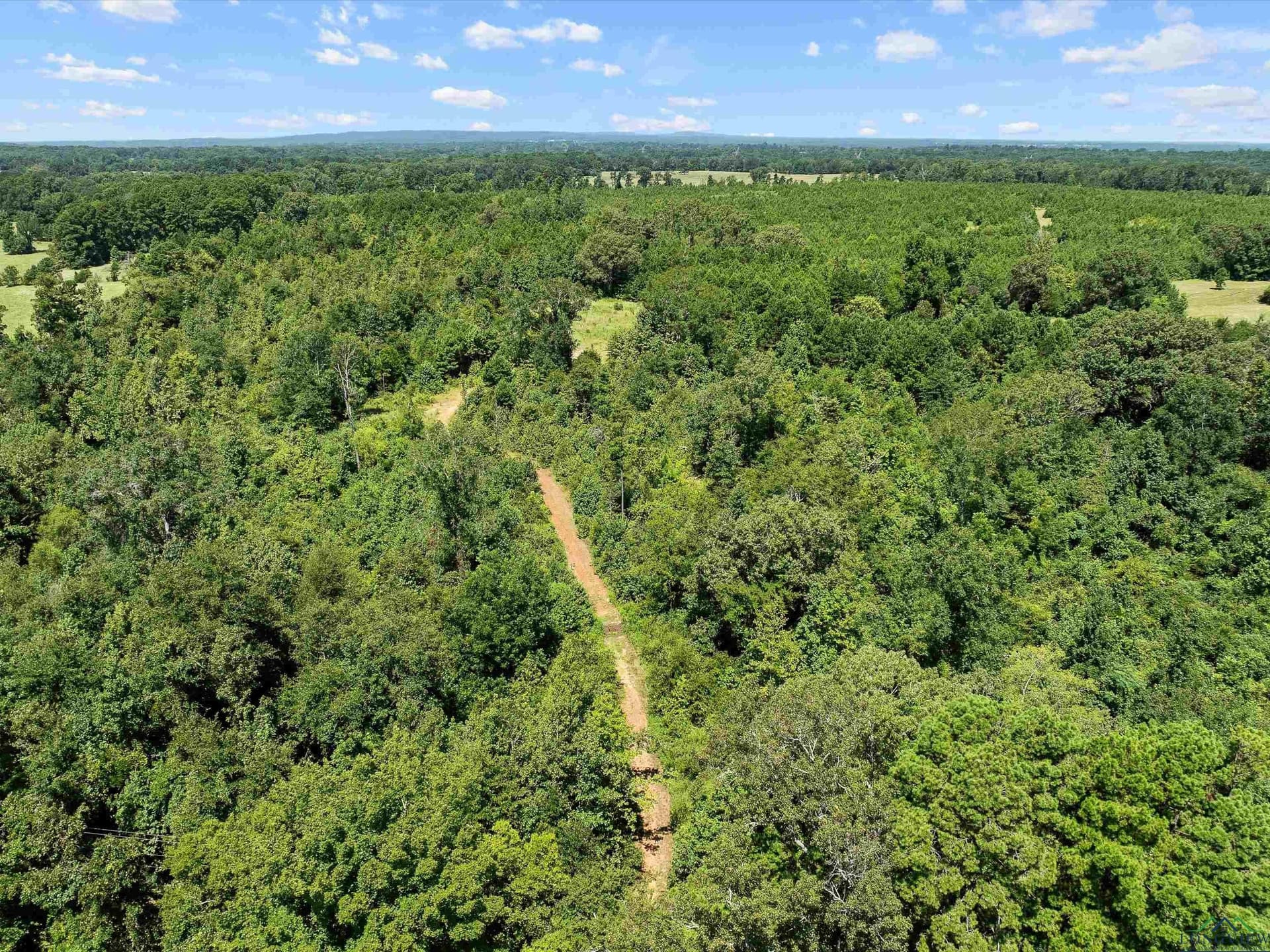 30.03 acres in Rusk County gallery image 4