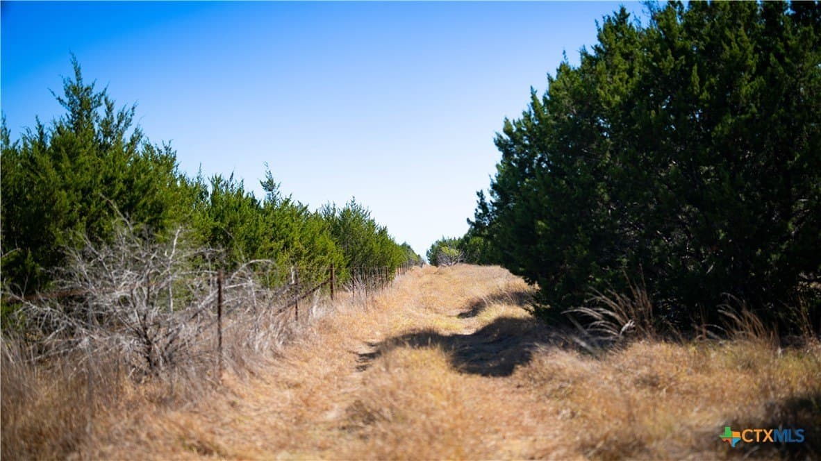57.98 acres in Lampasas County - photo 9