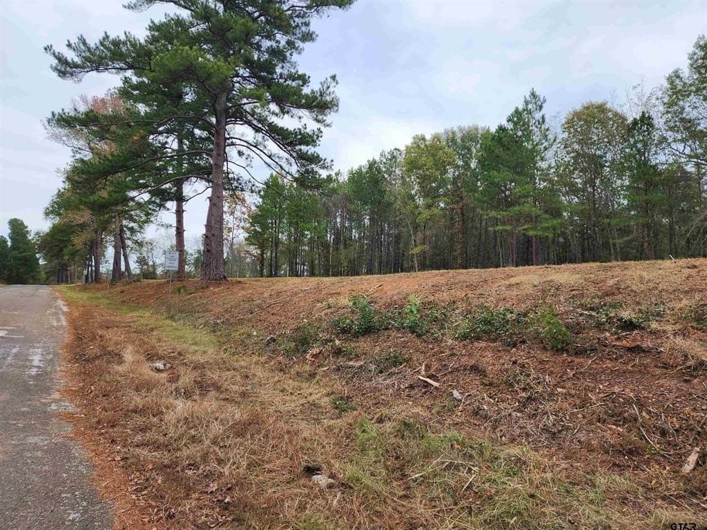 2.86 acres in Smith County - photo 8