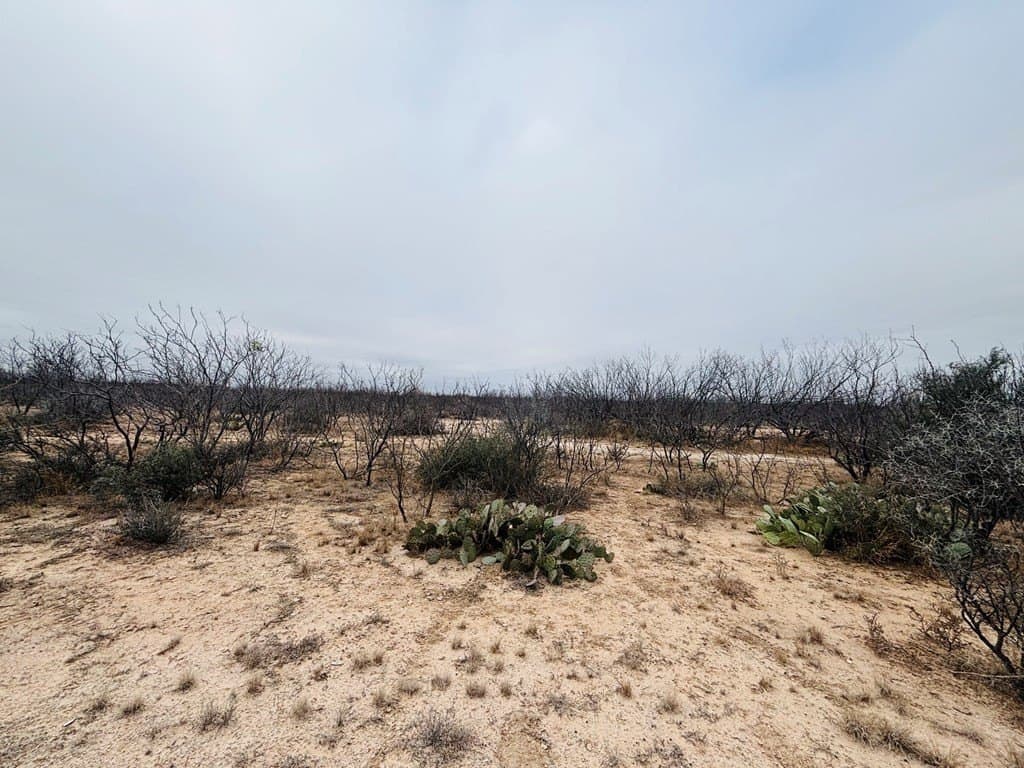 15 acres in Tom Green County featured view