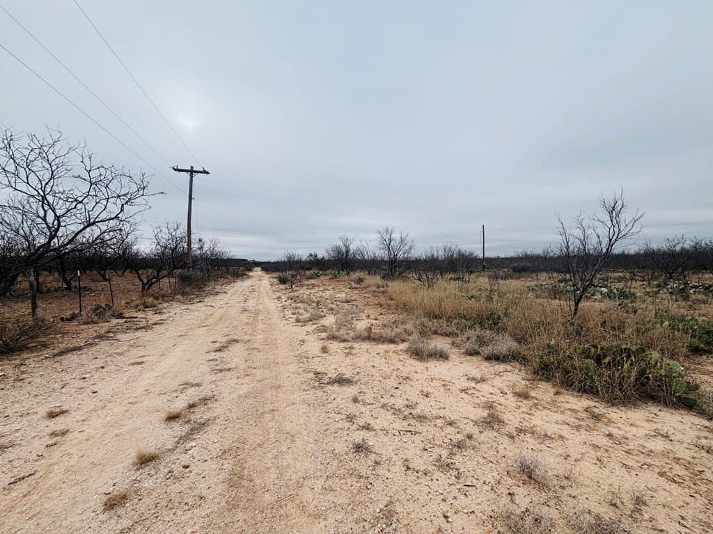 15 acres in Tom Green County - photo 9