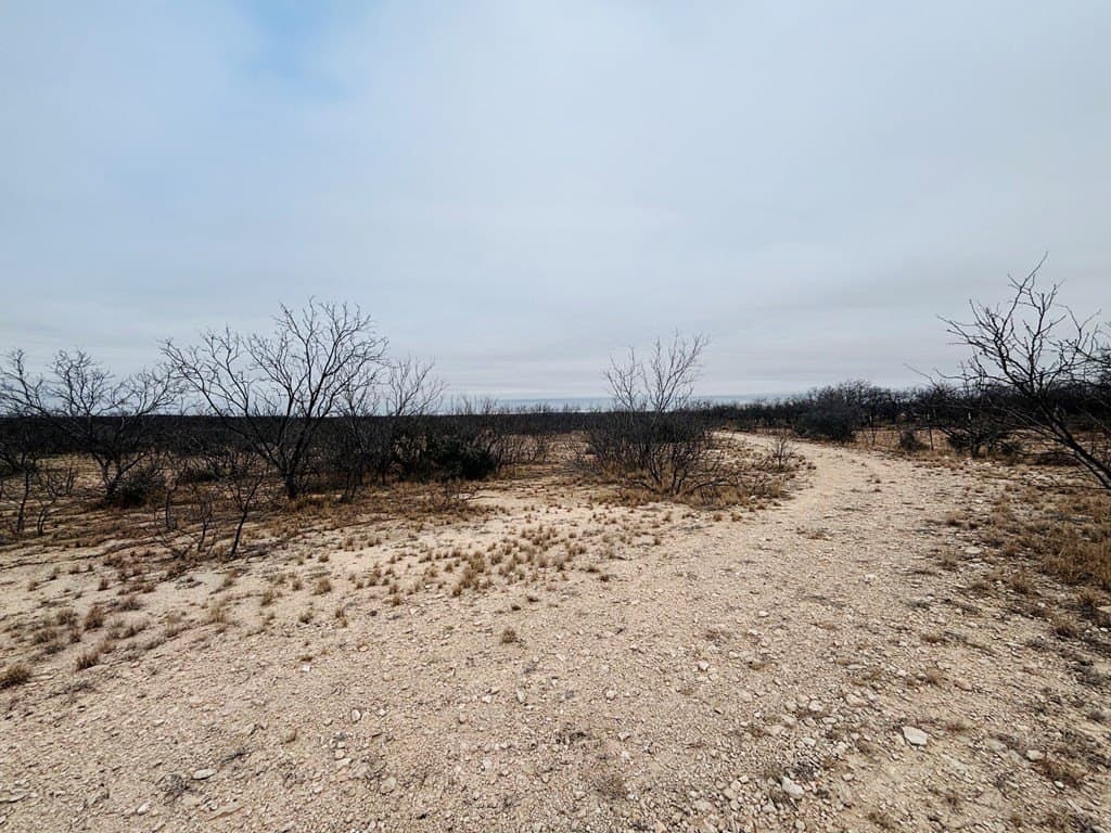 15 acres in Tom Green County - photo 7