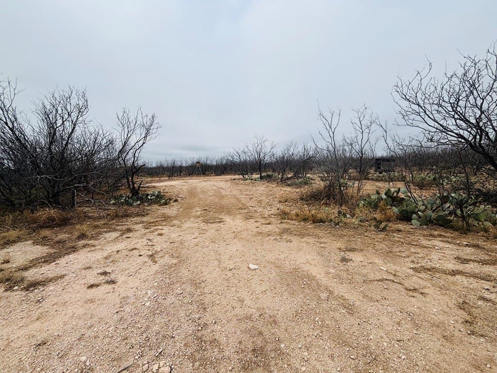 15 acres in Tom Green County - photo 6