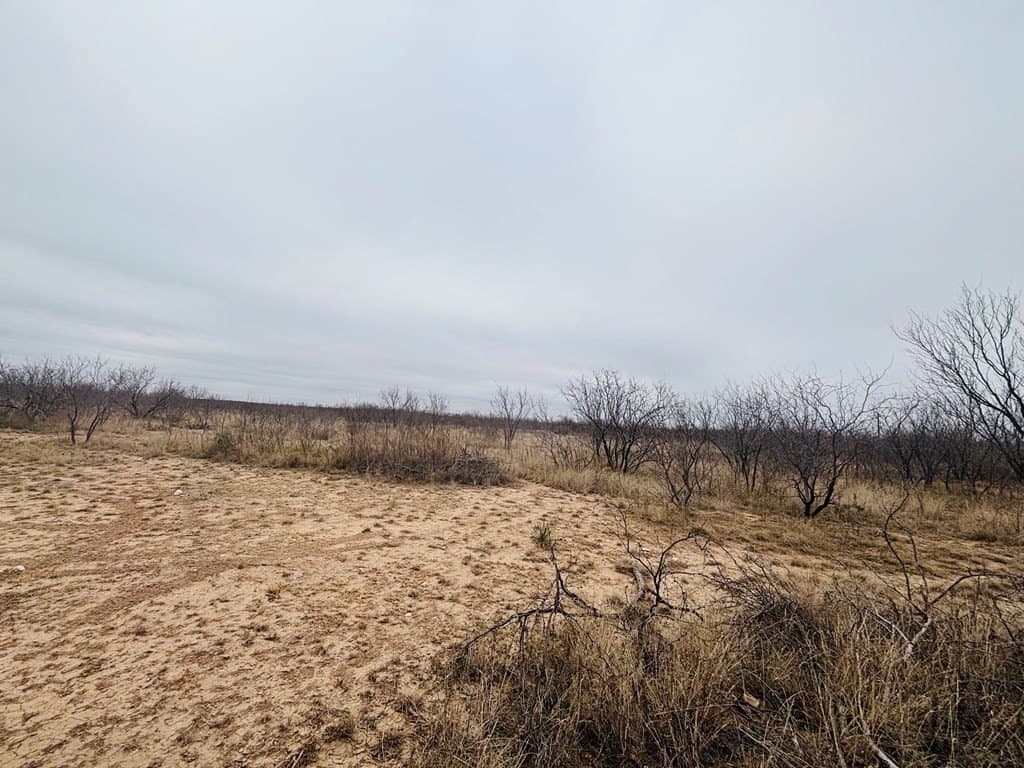 15 acres in Tom Green County gallery image 3