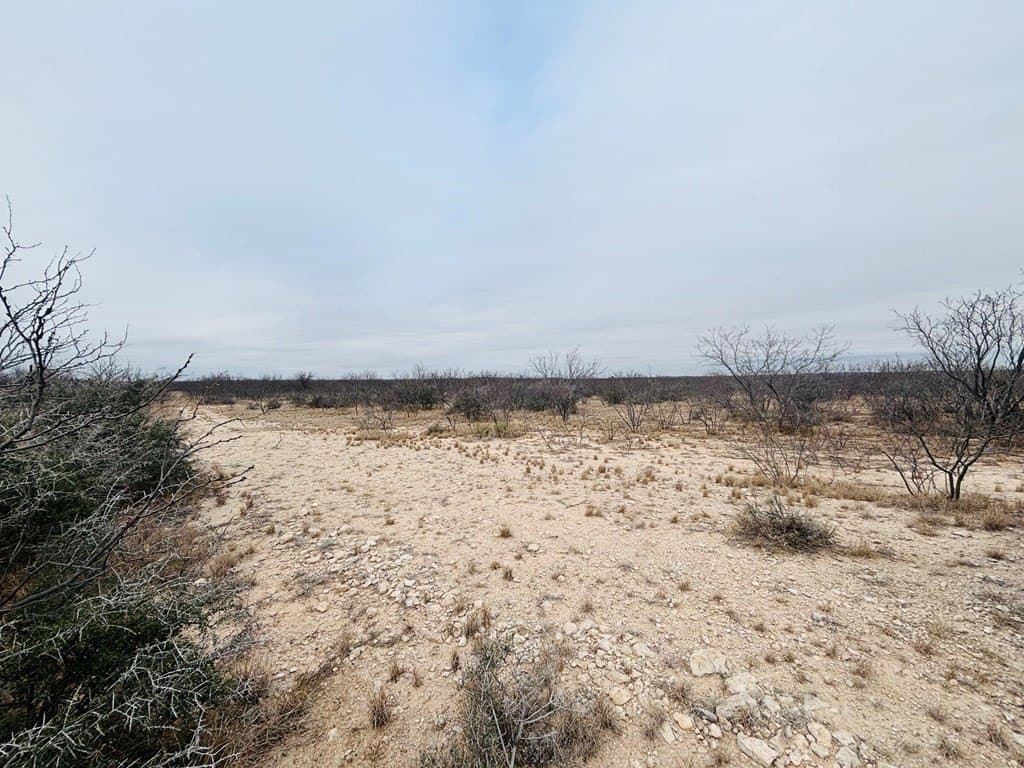 15 acres in Tom Green County - photo 10