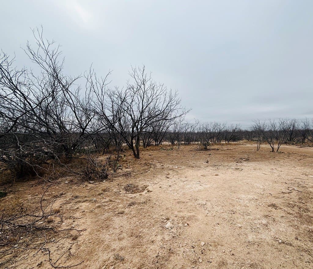 15 acres in Tom Green County - photo 8