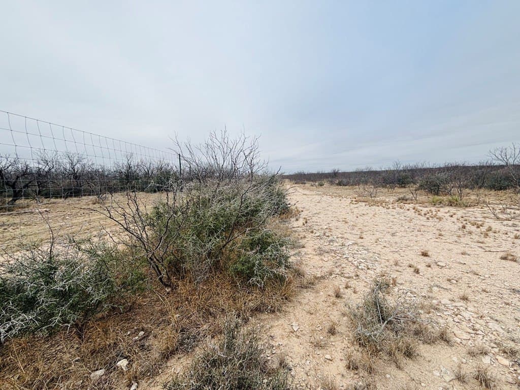 15 acres in Tom Green County - photo 11