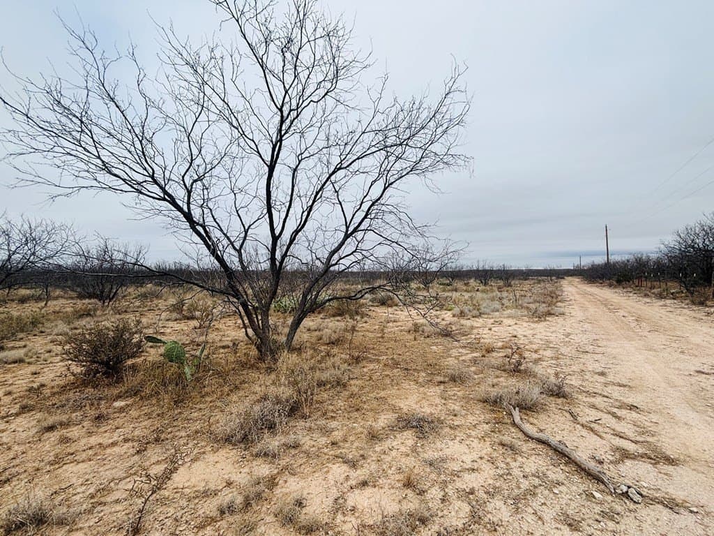 15 acres in Tom Green County gallery image 4