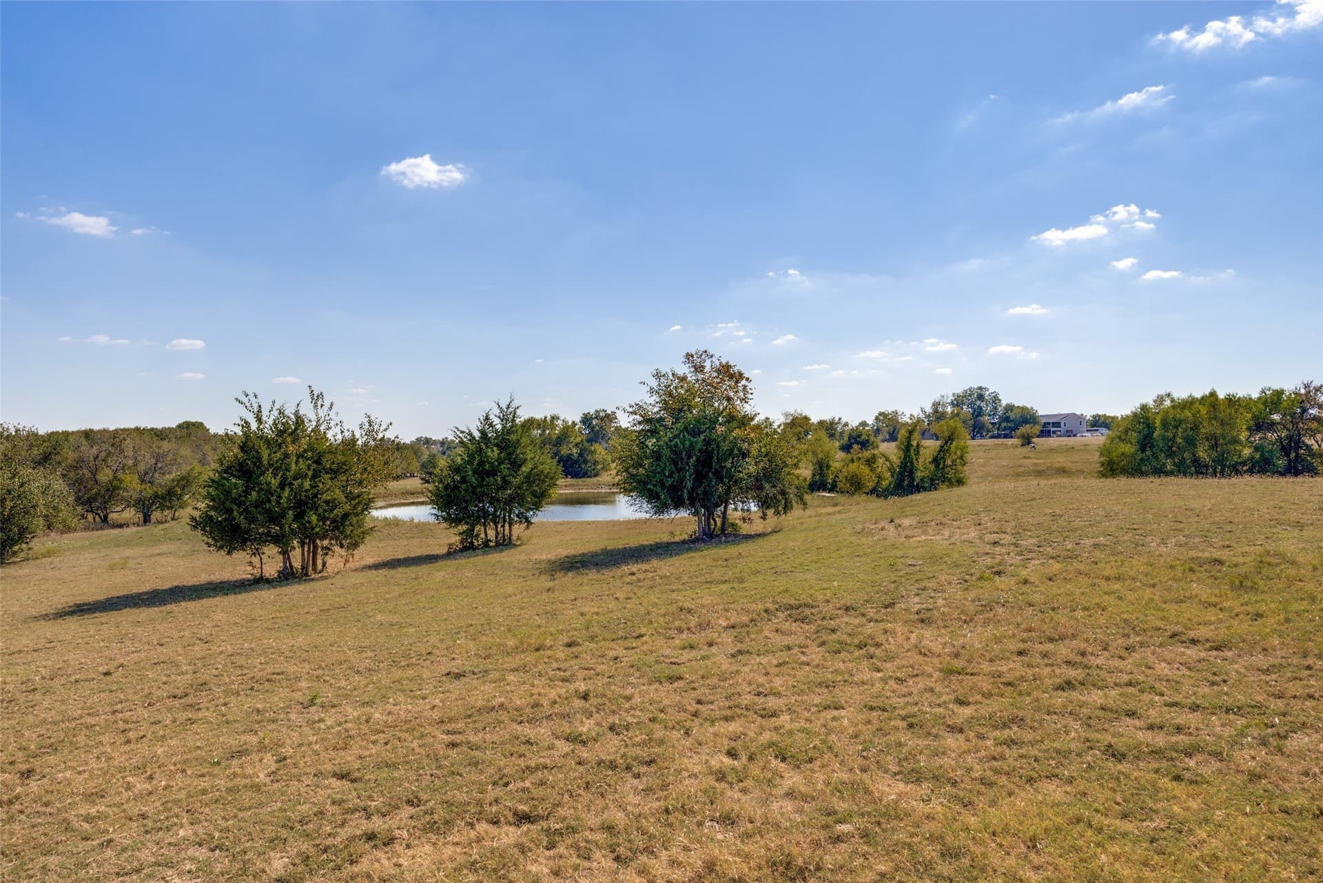 51 acres in Collin County - photo 37