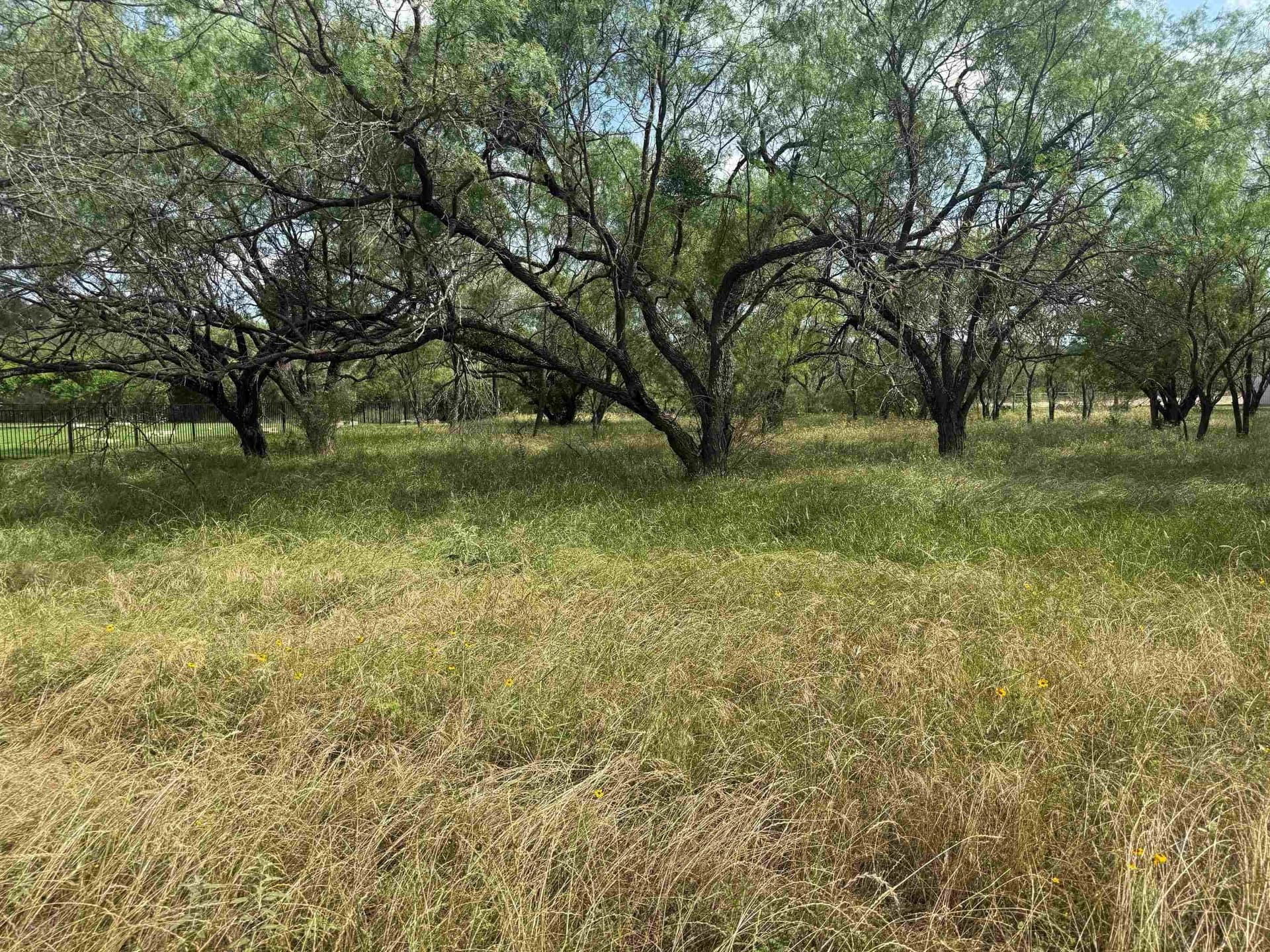 0.24 acres in Llano County gallery image 3