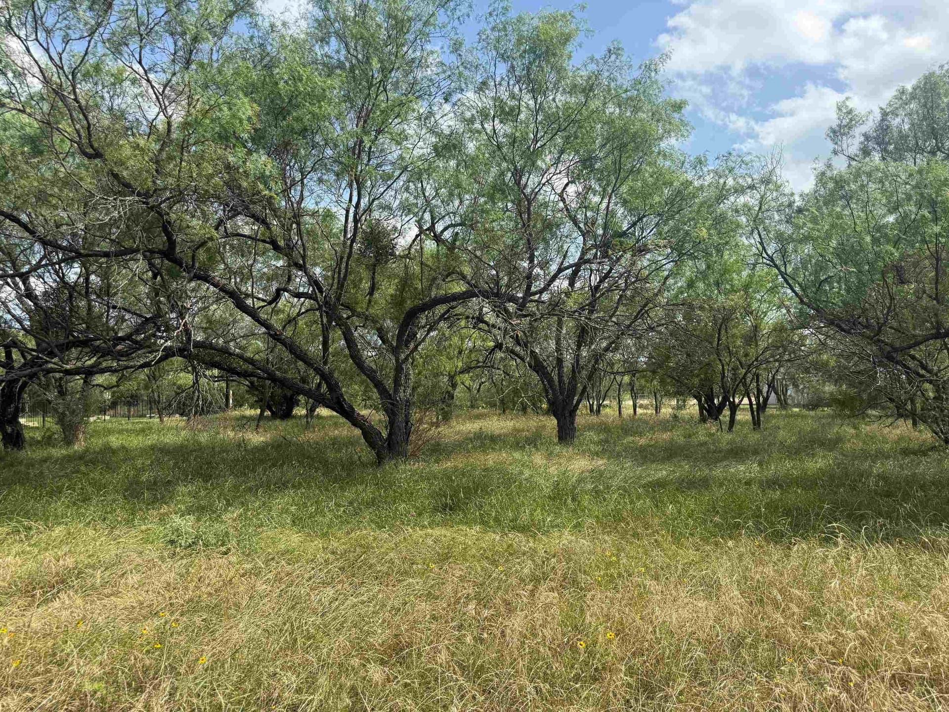 0.24 acres in Llano County gallery image 2
