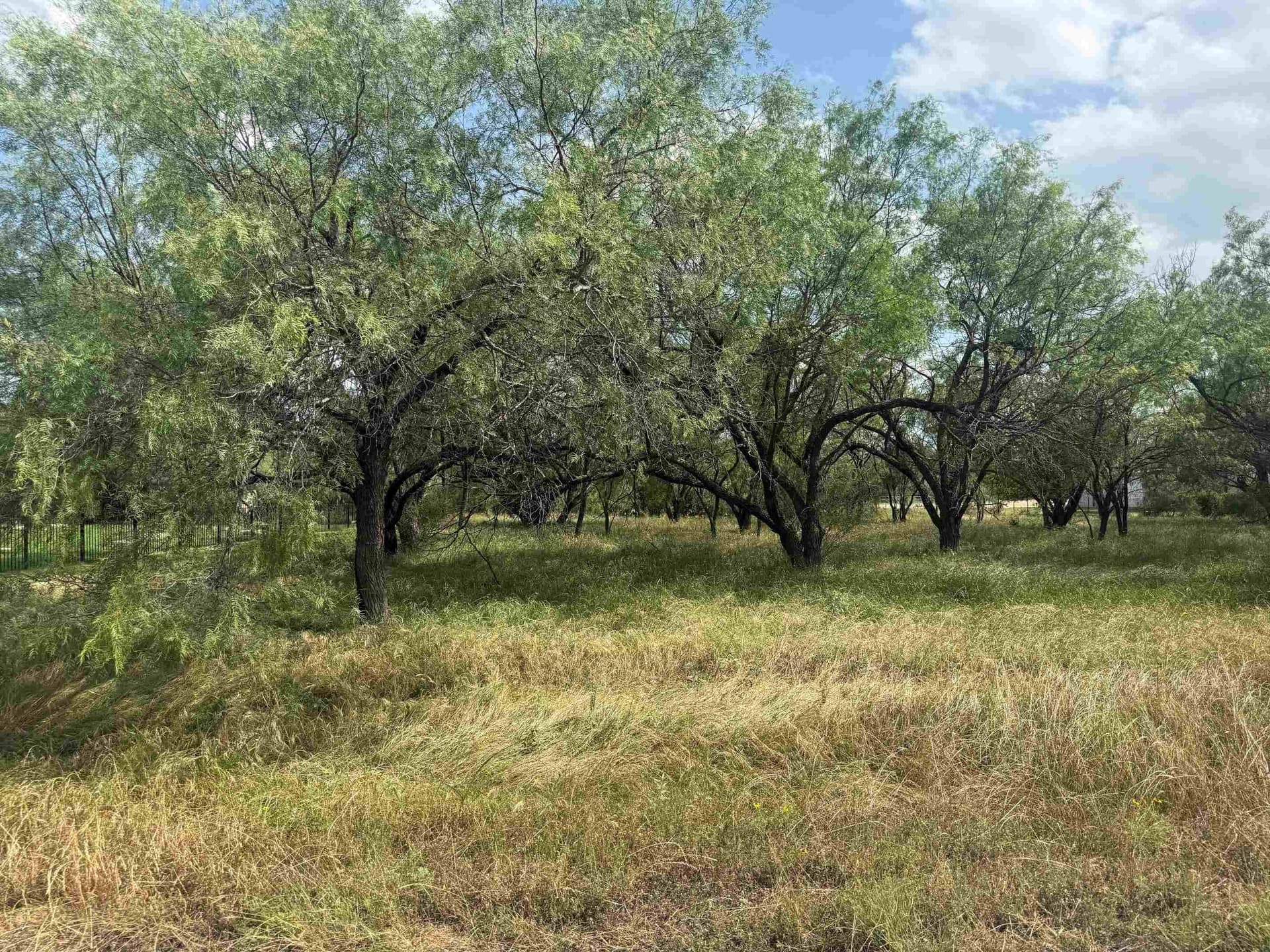 0.24 acres in Llano County featured view
